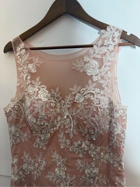 JJs House Blush Pink & White Floral Lace Embroidery Dress Gown With Tulle Skirt